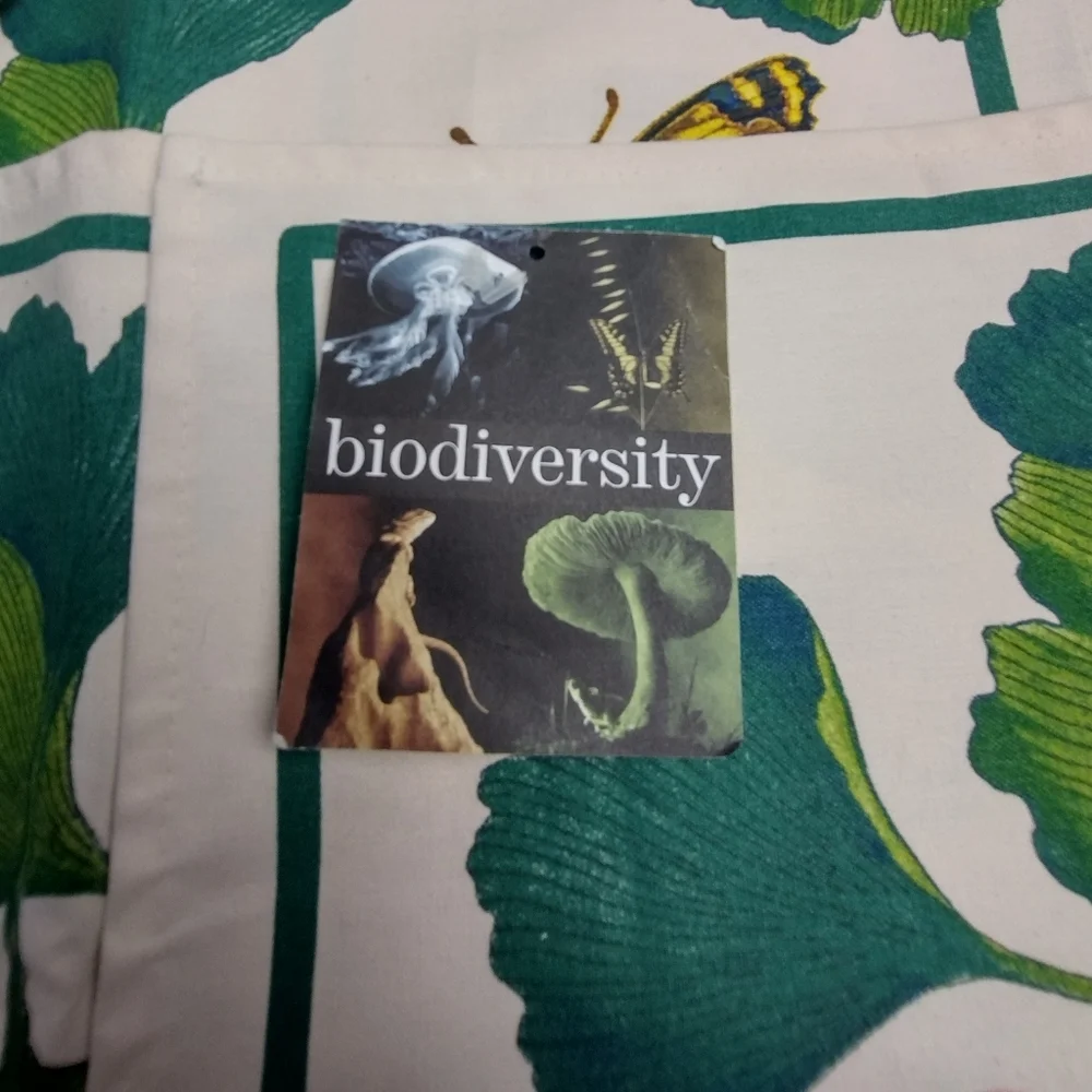 American Museum of Natural History Vintage Butterfly Placemats (4) - Picture 4 of 7